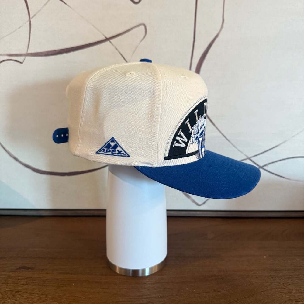 Vintage Apex University of Kentucky Wildcats Snapback Hat - Picture 2 of 3